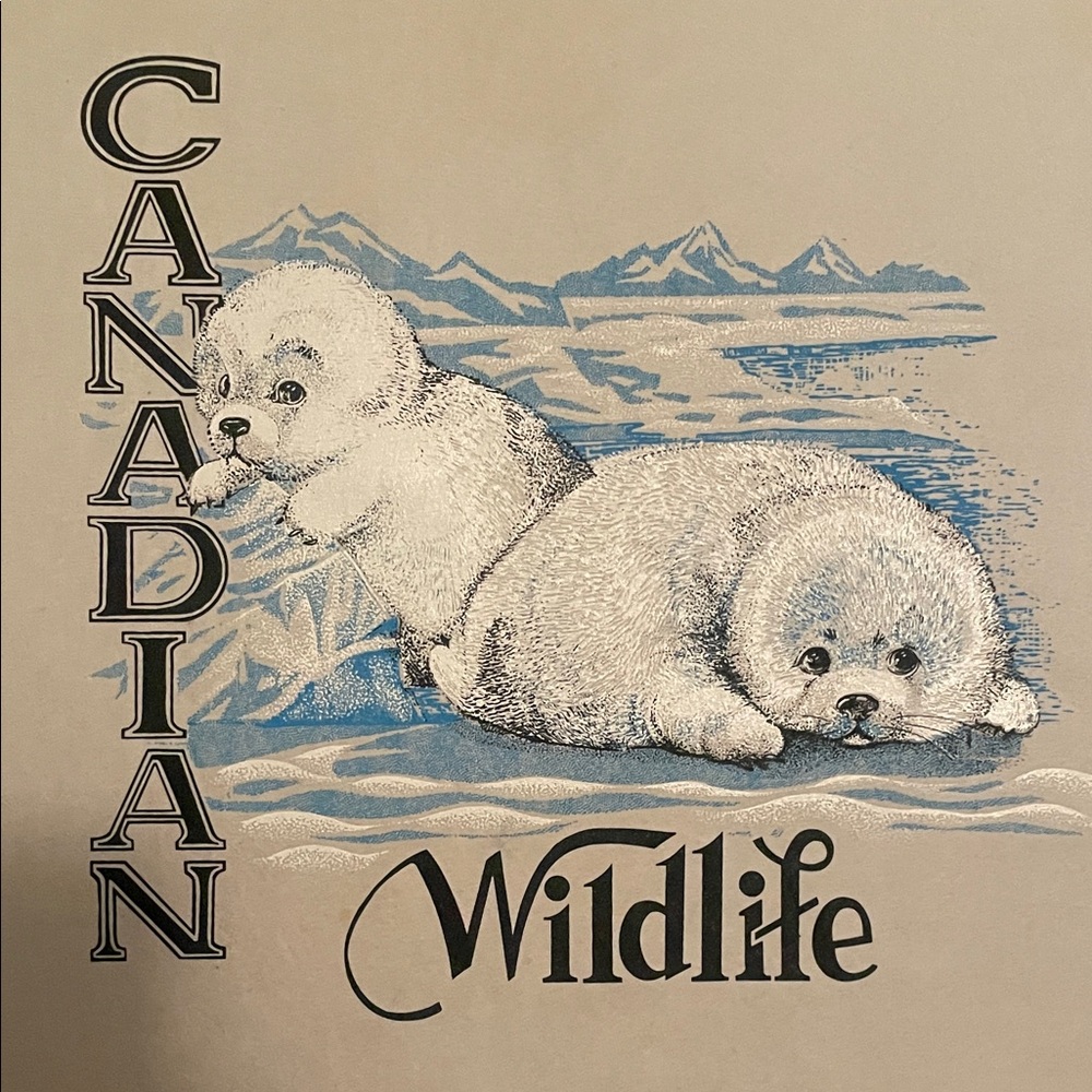 Canadian Wildlife Seal Pups Art Print On High-Quality Textured Felt Paper